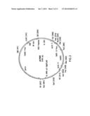 SURFACE, ANCHORED FC-BAIT ANTIBODY DISPLAY SYSTEM diagram and image