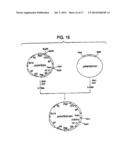 HUMAN CDR-GRAFTED ANTIBODY AND ANTIBODY FRAGMENT THEREOF diagram and image