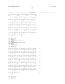 HUMAN CDR-GRAFTED ANTIBODY AND ANTIBODY FRAGMENT THEREOF diagram and image