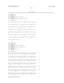 HUMAN CDR-GRAFTED ANTIBODY AND ANTIBODY FRAGMENT THEREOF diagram and image