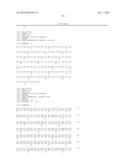 HUMAN CDR-GRAFTED ANTIBODY AND ANTIBODY FRAGMENT THEREOF diagram and image