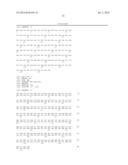 HUMAN CDR-GRAFTED ANTIBODY AND ANTIBODY FRAGMENT THEREOF diagram and image