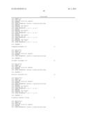 NOVEL SIMIAN T-CELL LYMPHOTROPIC VIRUS diagram and image