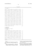 NOVEL SIMIAN T-CELL LYMPHOTROPIC VIRUS diagram and image