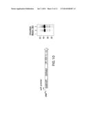 SIGNAL PEPTIDE FUSION PARTNERS FACILITATING LISTERIAL EXPRESSION OF     ANTIGENIC SEQUENCES AND METHODS OF PREPARATION AND USE THEREOF diagram and image