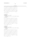 SIGNAL PEPTIDE FUSION PARTNERS FACILITATING LISTERIAL EXPRESSION OF     ANTIGENIC SEQUENCES AND METHODS OF PREPARATION AND USE THEREOF diagram and image