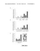 DIAGNOSING SUBSETS OF TRIPLE-NEGATIVE BREAST CANCER diagram and image