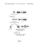 DIAGNOSING SUBSETS OF TRIPLE-NEGATIVE BREAST CANCER diagram and image