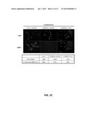 DIAGNOSING SUBSETS OF TRIPLE-NEGATIVE BREAST CANCER diagram and image