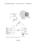 IN VIVO PROTEOMICS diagram and image