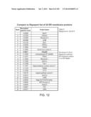 IN VIVO PROTEOMICS diagram and image