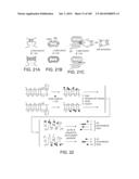 IN VIVO PROTEOMICS diagram and image