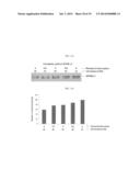 METHOD FOR ENHANCING THE PRODUCTION YIELD OF HUMAN PAPILLOMAVIRUS L1     PROTEIN diagram and image