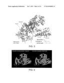 ISOLATED DNA POLYMERASES, KITS AND APPLICATIONS THEREOF diagram and image