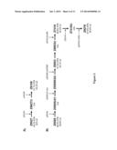 RECOMBINANT MICROBIAL CELLS THAT PRODUCE AT LEAST 28% EICOSAPENTAENOIC     ACID AS DRY CELL WEIGHT diagram and image