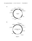 RECOMBINANT MICROBIAL CELLS THAT PRODUCE AT LEAST 28% EICOSAPENTAENOIC     ACID AS DRY CELL WEIGHT diagram and image