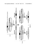 RECOMBINANT MICROBIAL CELLS THAT PRODUCE AT LEAST 28% EICOSAPENTAENOIC     ACID AS DRY CELL WEIGHT diagram and image