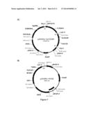 RECOMBINANT MICROBIAL CELLS THAT PRODUCE AT LEAST 28% EICOSAPENTAENOIC     ACID AS DRY CELL WEIGHT diagram and image