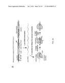 ENGINEERING AND OPTIMIZATION OF IMPROVED SYSTEMS, METHODS AND ENZYME     COMPOSITIONS FOR SEQUENCE MANIPULATION diagram and image