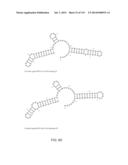 ENGINEERING AND OPTIMIZATION OF IMPROVED SYSTEMS, METHODS AND ENZYME     COMPOSITIONS FOR SEQUENCE MANIPULATION diagram and image