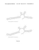 ENGINEERING AND OPTIMIZATION OF IMPROVED SYSTEMS, METHODS AND ENZYME     COMPOSITIONS FOR SEQUENCE MANIPULATION diagram and image