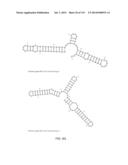 ENGINEERING AND OPTIMIZATION OF IMPROVED SYSTEMS, METHODS AND ENZYME     COMPOSITIONS FOR SEQUENCE MANIPULATION diagram and image