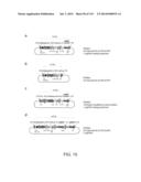 ENGINEERING AND OPTIMIZATION OF IMPROVED SYSTEMS, METHODS AND ENZYME     COMPOSITIONS FOR SEQUENCE MANIPULATION diagram and image