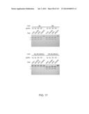 ENGINEERING AND OPTIMIZATION OF IMPROVED SYSTEMS, METHODS AND ENZYME     COMPOSITIONS FOR SEQUENCE MANIPULATION diagram and image