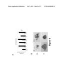 SMALL MOLECULES SUPPORTING PLURIPOTENT CELL GROWTH AND METHODS THEREOF diagram and image