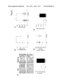 ENHANCING A POPULATION OF INSULIN RELEASING CELLS USING GFR Alpha-1     Agonists diagram and image