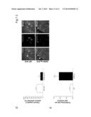 ENHANCING A POPULATION OF INSULIN RELEASING CELLS USING GFR Alpha-1     Agonists diagram and image