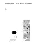 ENHANCING A POPULATION OF INSULIN RELEASING CELLS USING GFR Alpha-1     Agonists diagram and image