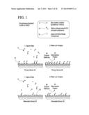 APPARATUS AND METHOD FOR IDENTIFYING A HOOK EFFECT AND EXPANDING THE     DYNAMIC RANGE IN POINT OF CARE IMMUNOASSAYS diagram and image