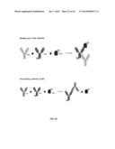 ASSAYS FOR DETECTING NEUTRALIZING AUTOANTIBODIES TO BIOLOGIC THERAPY diagram and image