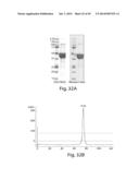 METHODS AND COMPOSITIONS FOR CELL-PROLIFERATION-RELATED DISORDERS diagram and image