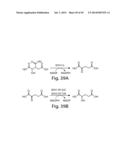 METHODS AND COMPOSITIONS FOR CELL-PROLIFERATION-RELATED DISORDERS diagram and image