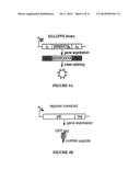 ANTIBACTERIAL AND PLASMID ELIMINATION AGENTS diagram and image