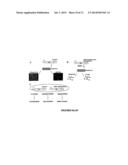 ANTIBACTERIAL AND PLASMID ELIMINATION AGENTS diagram and image