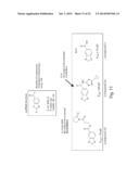 METHODS AND COMPOSITIONS FOR DETECTING AND MODULATING O-GLYCOSYLATION diagram and image