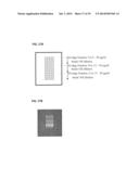 ANTIBODY-BASED ARRAYS FOR DETECTING MULTIPLE SIGNAL TRANSDUCERS IN RARE     CIRCULATING CELLS diagram and image