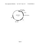 Compositions and Methods Comprising a Lipolytic Enzyme Variant diagram and image