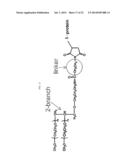METHODS FOR MAINTAINING PEGYLATION OF POLYPEPTIDES diagram and image