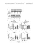 AMELIORATION OF INTESTINAL FIBROSIS AND TREATMENT OF CROHN S DISEASE diagram and image