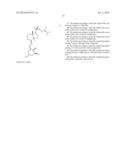 AMELIORATION OF INTESTINAL FIBROSIS AND TREATMENT OF CROHN S DISEASE diagram and image