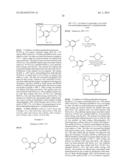 ANTI-AMYLOID COMPOUNDS AND METHODS diagram and image