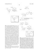 ANTI-AMYLOID COMPOUNDS AND METHODS diagram and image