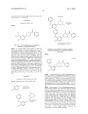 ANTI-AMYLOID COMPOUNDS AND METHODS diagram and image