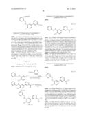 ANTI-AMYLOID COMPOUNDS AND METHODS diagram and image