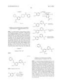 ANTI-AMYLOID COMPOUNDS AND METHODS diagram and image