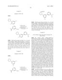 ANTI-AMYLOID COMPOUNDS AND METHODS diagram and image